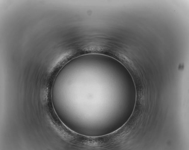 X0000089370735200706221221