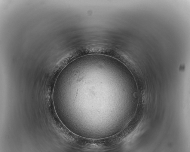 X0000089370737200706221221