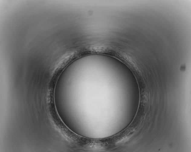 X0000089370738200706221221