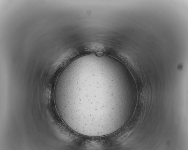X0000089370739200706221221