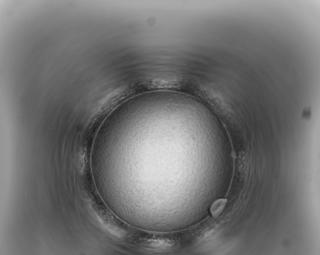 X0000089370741200706221221