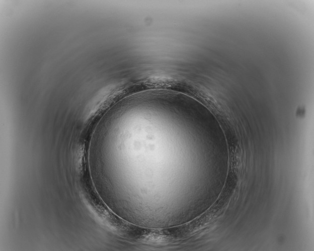 X0000089370742200706221221