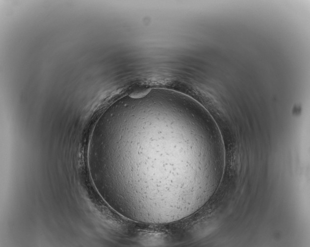 X0000089370743200706221221