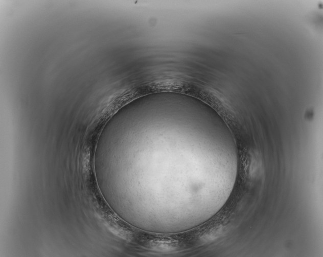 X0000089370745200706221221