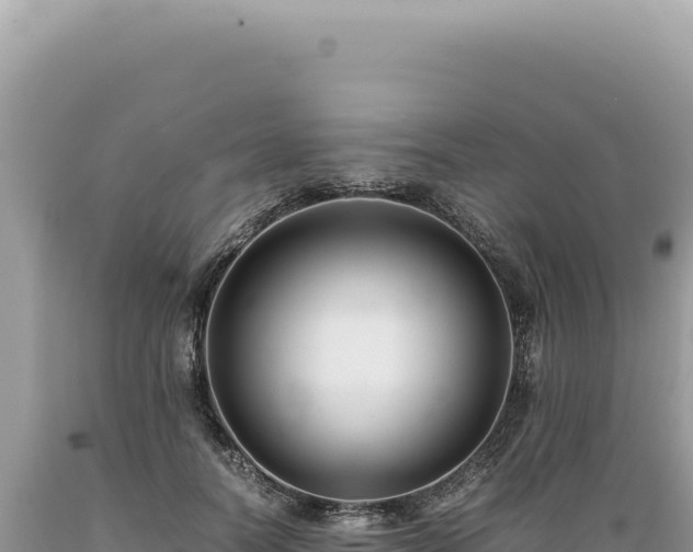 X0000089370746200706221221