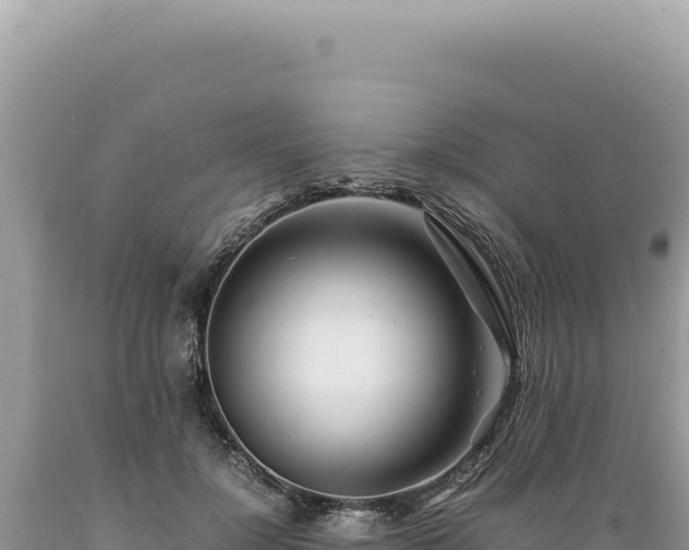 X0000089370748200706221221