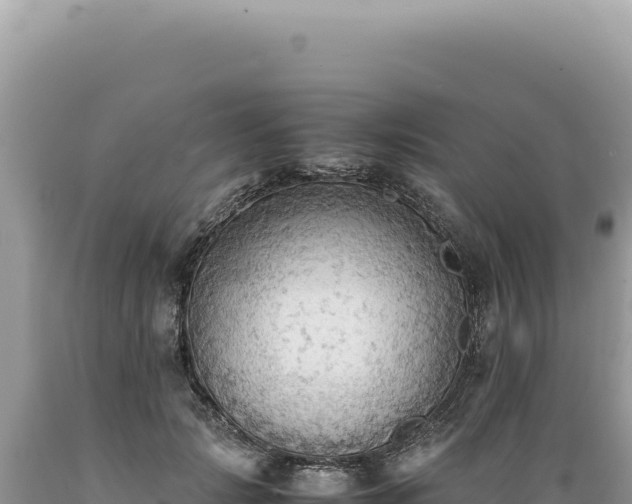 X0000089370749200706221221