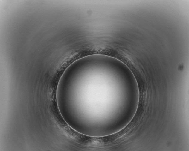 X0000089370750200706221221