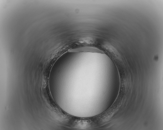 X0000089370751200706221221