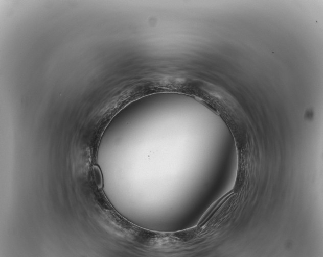 X0000089370752200706221221