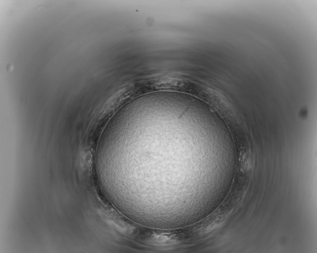 X0000089370753200706221221