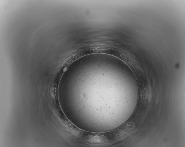 X0000089370755200706221221