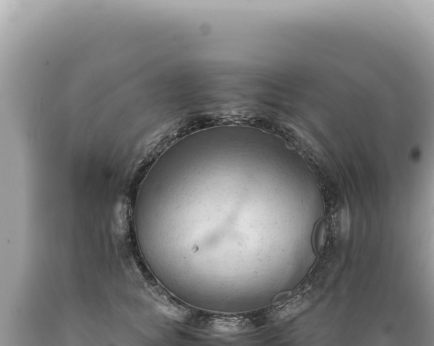X0000089370757200706221221