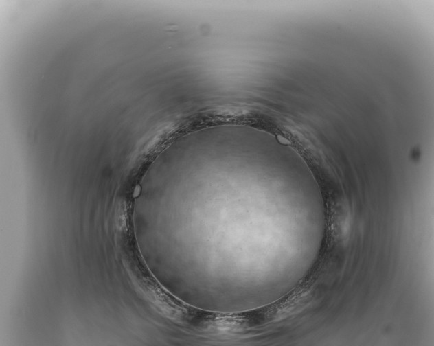 X0000089370758200706221221