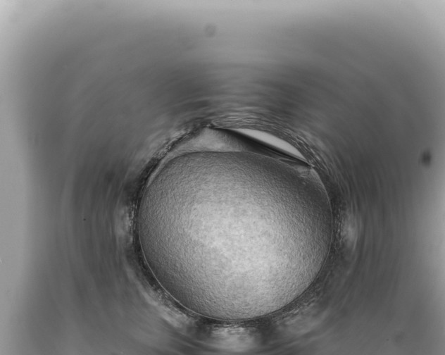 X0000089370759200706221221