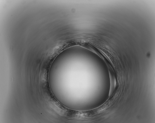 X0000089370760200706221221