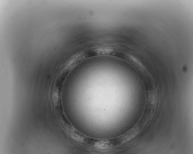 X0000089370761200706221221
