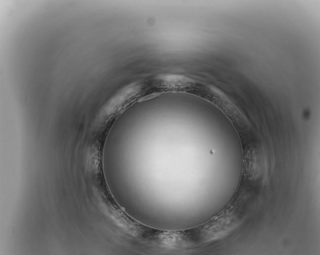 X0000089370762200706221221