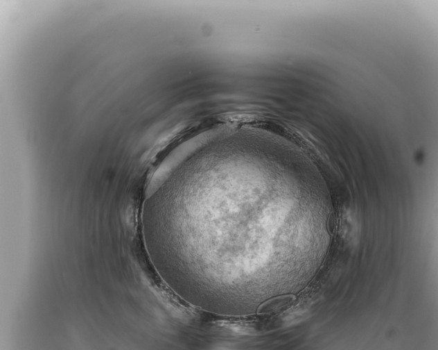X0000089370763200706221221