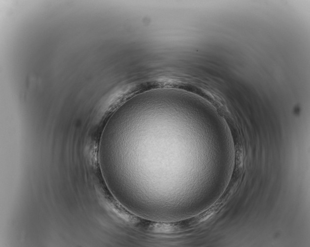 X0000089370766200706221221