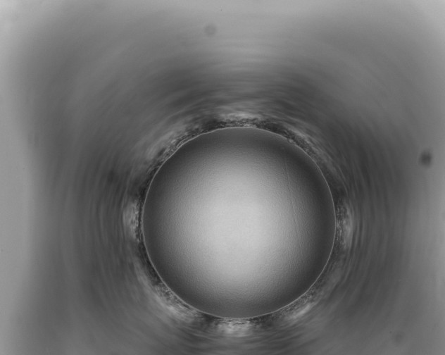 X0000089370767200706221221