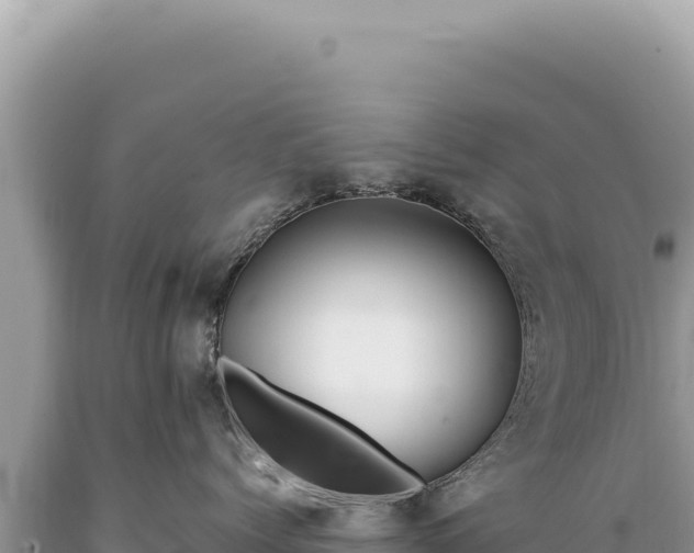 X0000089370768200706221221