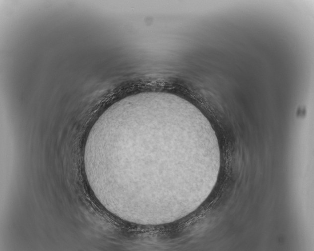X0000089370769200706221221