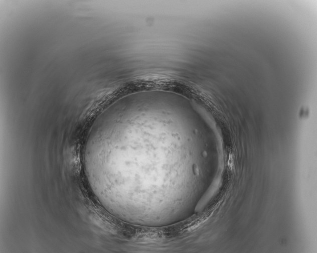 X0000089370771200706221221