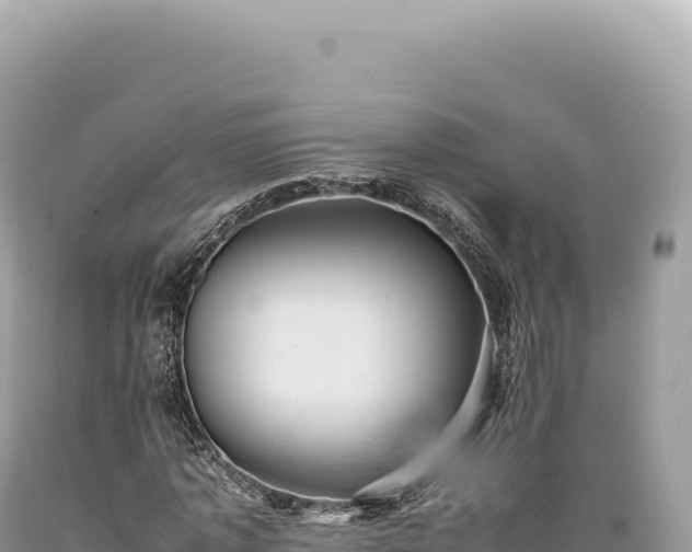 X0000089370773200706221221