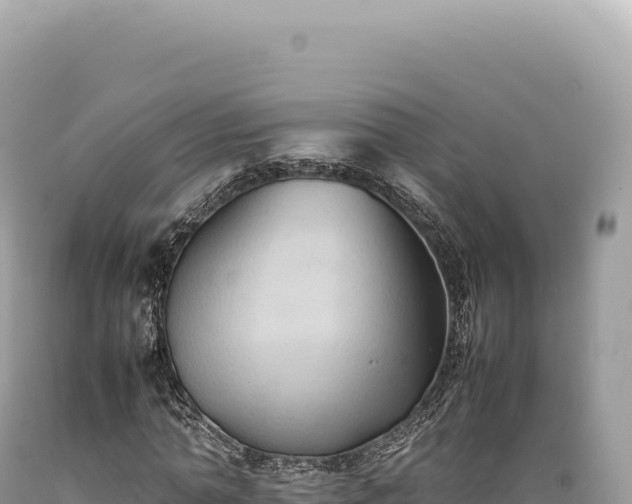 X0000089370774200706221221