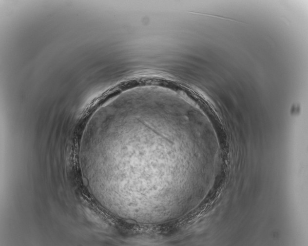 X0000089370775200706221221