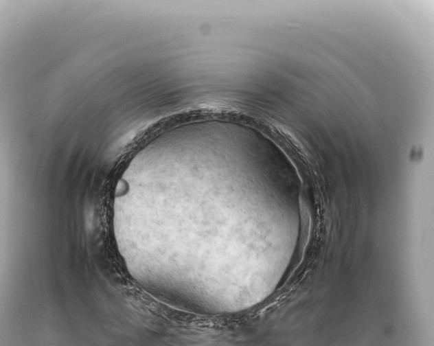 X0000089370776200706221221