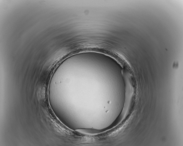 X0000089370777200706221220