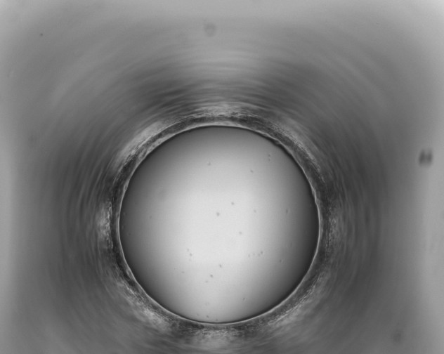 X0000089370778200706221220