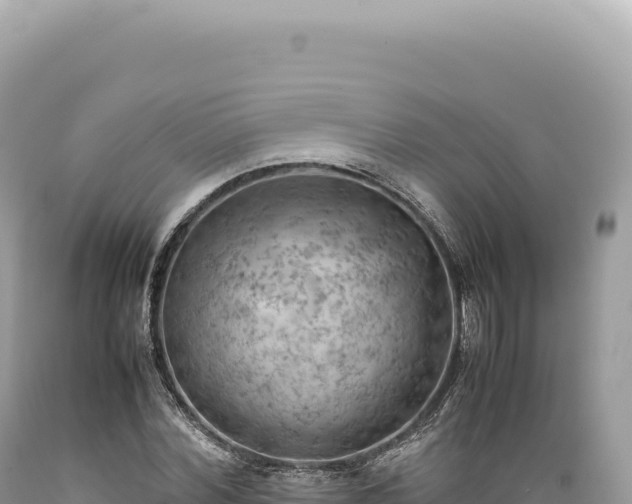 X0000089370780200706221220