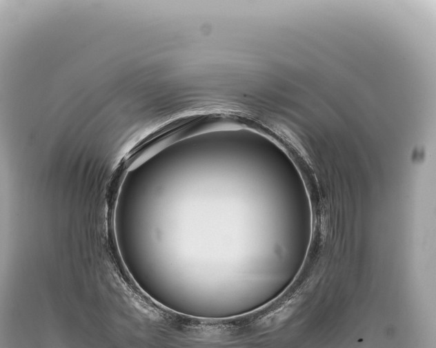 X0000089370781200706221220
