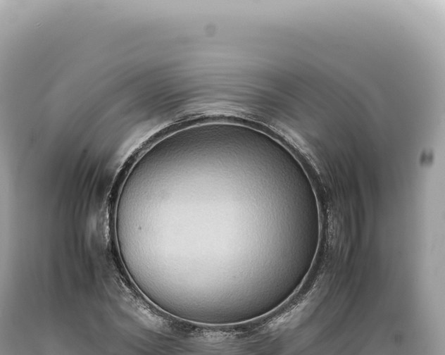 X0000089370782200706221220