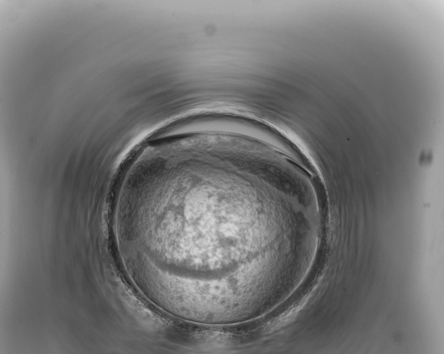 X0000089370783200706221220
