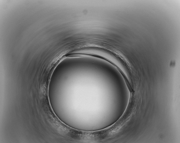 X0000089370785200706221220