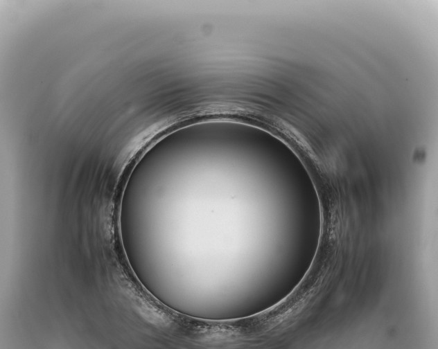 X0000089370786200706221220