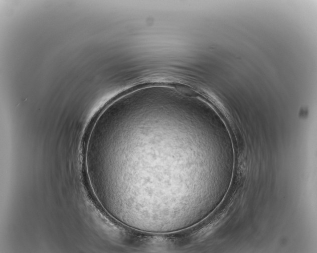 X0000089370787200706221220