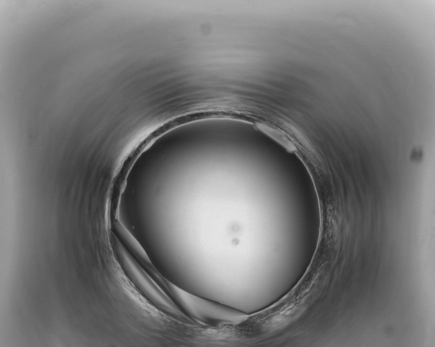 X0000089370788200706221220