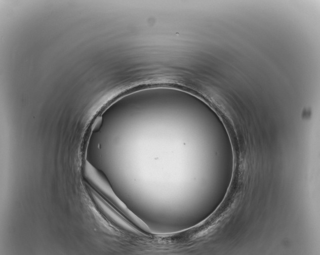 X0000089370789200706221220