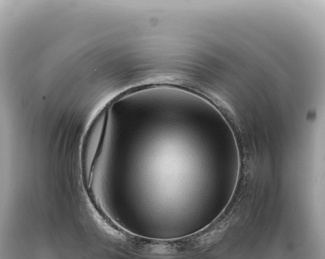 X0000089370792200706221220