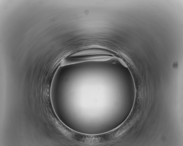 X0000089370793200706221220