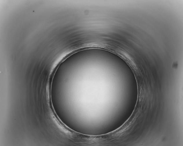 X0000089370796200706221220