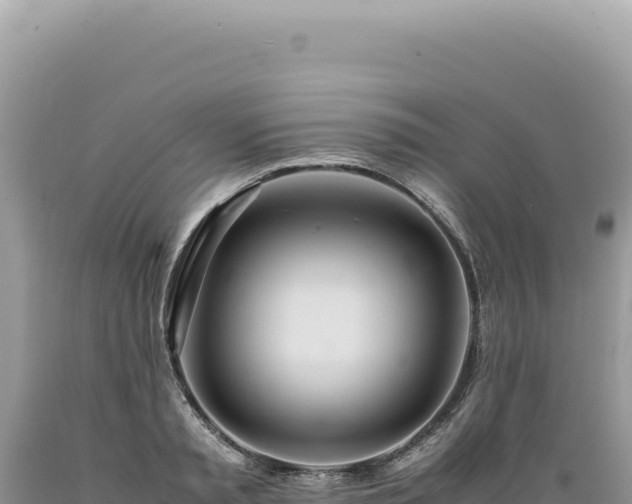 X0000089370797200706221220