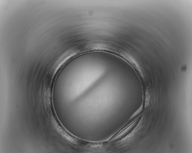 X0000089370798200706221220