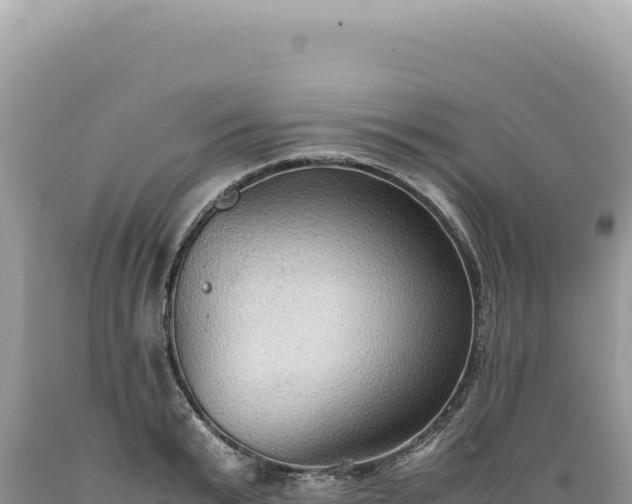 X0000089370799200706221220