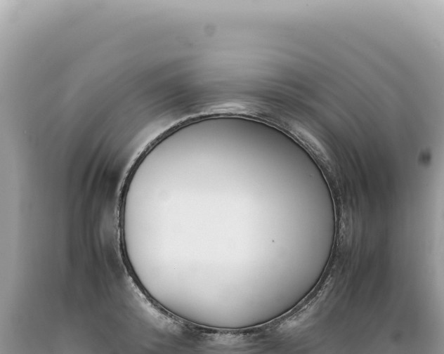 X0000089370800200706221220
